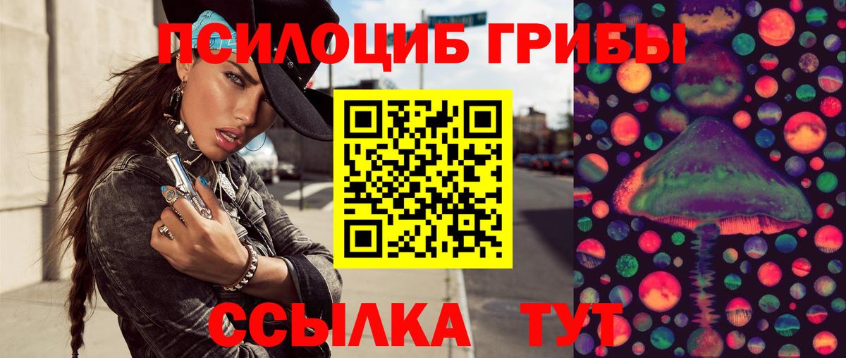 хочу наркоту  Псилоцибиновые грибы Psilocybe  Галлюциногенные грибы Psilocybine cubensis  Вход с VPN  Шумерля 